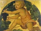putto picking grapes